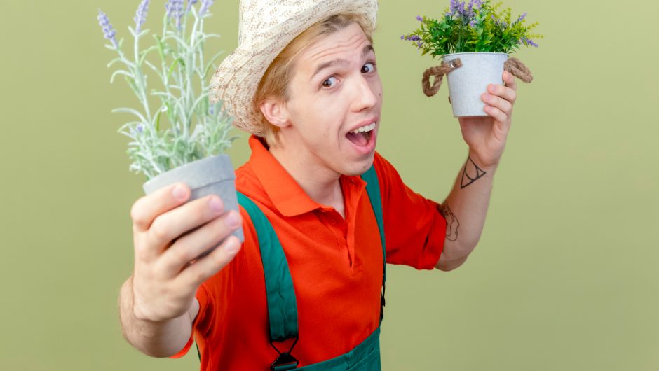 Grădinărit fără chimicale: metode naturale eficiente